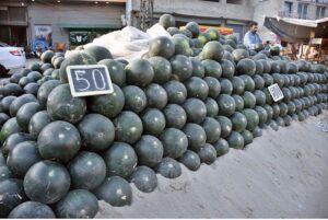 A vender waits for the customers as he displays fresh water melons alongside a road in the city.