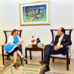 Federal Minister for Finance & Revenue Senator Muhammad Aurangzeb was called on by Ambassador of Italy to Pakistan H.E. Ms. Marilina Armellin.