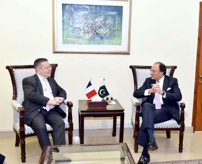 Federal Minister for Finance and Revenue Muhammad Aurangzeb called on by the Ambassador of France to Pakistan Nicholas Galey