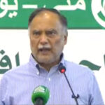 Sustainable development not possible without peace: Ahsan Iqbal