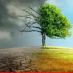 Climate warriors: Mobilizing