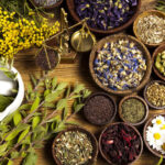 Three-Day training workshop on “Traditional and Herbal Medicine” concludes
