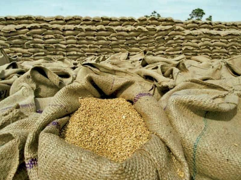 PASSCO to purchase 2 lac bags wheat in Mian Channu