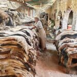 Admin imposes ban on collection of sacrificial animals’ hides without NOC