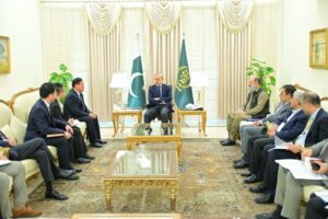 PM invites Chinese firm to invest in mining; assures maximum facilitation