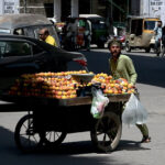 A vendor selling peach on his handcart while shuttling on the road during hot weather in the city