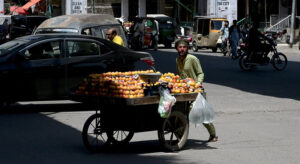 A vendor selling peach on his handcart while shuttling on the road during hot weather in the city
