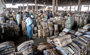 Vendors busy in checking the mangoes filled in wooden boxes before buying at Islamabad Fruit and Vegetable Market.