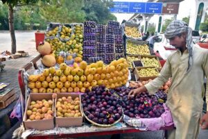 A vendor arranging and displaying seasonal fruits on handcart to attract the customers on footpath at Murree Road.