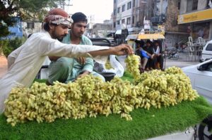 A vendor arranging and displaying seasonal fruits on handcart to attract the customers on footpath at Murree Road.