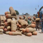Labourers are busy unloading sacks of onion from delivery trucks at the vegetable market