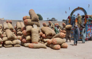 Labourers are busy unloading sacks of onion from delivery trucks at the vegetable market