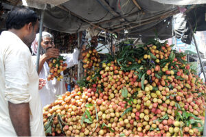 Vendor displaying fruit Lychee to attract the customers at Abdali Road