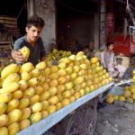 A vendor displaying and selling Mango at his roadside setup
