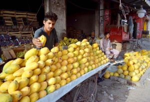 A vendor displaying and selling Mango at his roadside setup