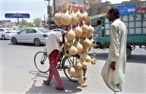 A youngster on the way along with bicycle loaded with nests for selling at Khayam Chowk.