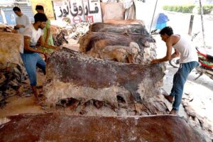 Workers preserving the hides of sacrificial animals at their warehouse at Ring road