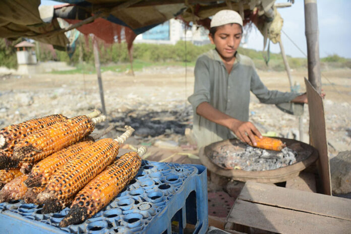 A young vendor preparing corn cob at Seaview