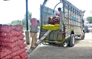 Labourers busy loading potatoes sacks on a delivery truck at vegetable market.