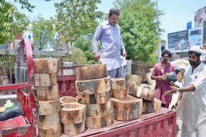 A vendor displaying and selling wooden pieces to be used for cutting meat of sacrificial animals during Eid-ul-Adha