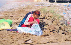 Under the harsh sun,an elderly woman collecting dried dung cake to be used as fuel for cooking and heating purposes in the outskirts area of the city.