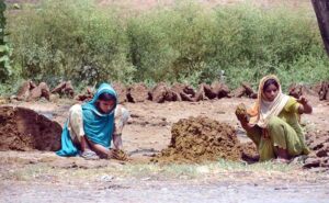 Womens are preparing dung cake for domestic fire use.