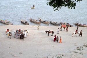 Fishermen catching the fishes at Indus river near Jamshoro