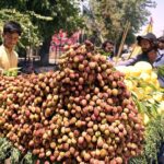 A vendor selling seasonal fruits near Shaheen chowk