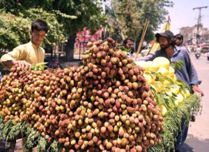 A vendor selling seasonal fruits near Shaheen chowk