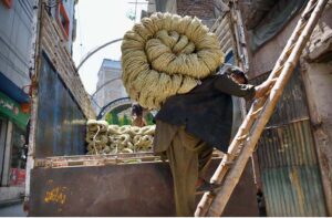 Laborer busy in loading bark used for knitting traditional bed charpai into a delivery truck at Dabgari area.