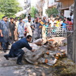 Butcher slaughtering a camel as a sacrificial animal at I-9/4 sector on the 2nd day of Eidul Azha