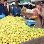 A vendor displaying seasonal fruit lemon to attract customers at Fruit and vegetable market in Federal Capital