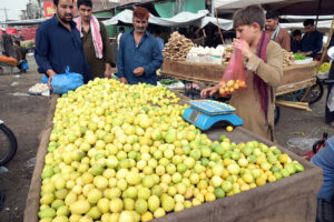 A vendor displaying seasonal fruit lemon to attract customers at Fruit and vegetable market in Federal Capital