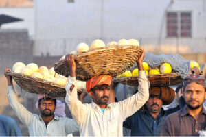 Daily wage workers carrying seasonal fruit baskets on their heads to earn for livelihood.