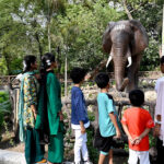 On the third day of Eid-ul-Azha, children are looking at the elephant replica recently installed in the zoo