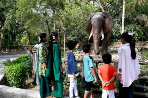 On the third day of Eid-ul-Azha, children are looking at the elephant replica recently installed in the zoo