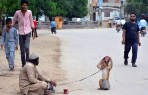 A juggler with monkey sitting on the road waiting for customers for showing tricks to earn livelihood.
