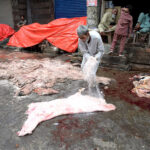 RWMC worker collecting the animal waste from the roadside on the 2nd day of Eid Ul Azha at 6th Road