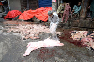 RWMC worker collecting the animal waste from the roadside on the 2nd day of Eid Ul Azha at 6th Road