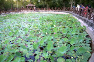 Families visiting Kanwal Lake on the 3rd day of Eidul Azha holiday in the city