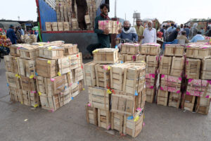A vendor displaying seasonal fruit lemon to attract customers at Fruit and vegetable market in Federal Capital