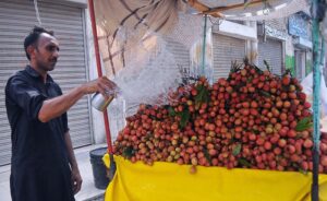 A street vendor showering water on the seasonal fruit Lychee to keep them fresh.
