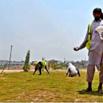 Parks & Horticulture Authority (PHA) gardeners plant grass seeds at a plot near Shahdara