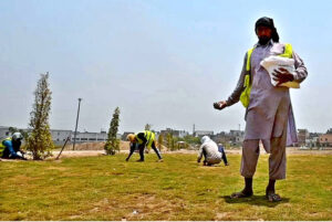 Parks & Horticulture Authority (PHA) gardeners plant grass seeds at a plot near Shahdara