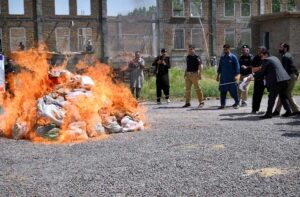 Excise and Narcotics Department set on fire contraband items worth 290 million rupees on World Narcotics Day near Motorway toll Plaza.