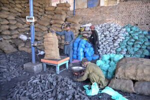 Labourers busy in packing coal in sacks for selling at his workplace