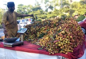 A vendor arranging and displaying seasonal fruit “leechi” to attract the customers at his roadside setup.