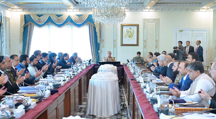 Prime Minister Muhammad Shehbaz Sharif chairs a meeting of Central Apex Committee of National Action Plan