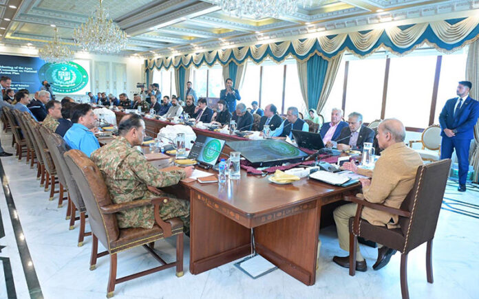 Prime Minister Muhammad Shehbaz Sharif chairs a meeting of Central Apex Committee of National Action Plan