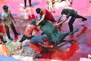 Butchers busy in slaughtering sacrificial animals at Jamia Naeemia on the first day of Eidul Azha